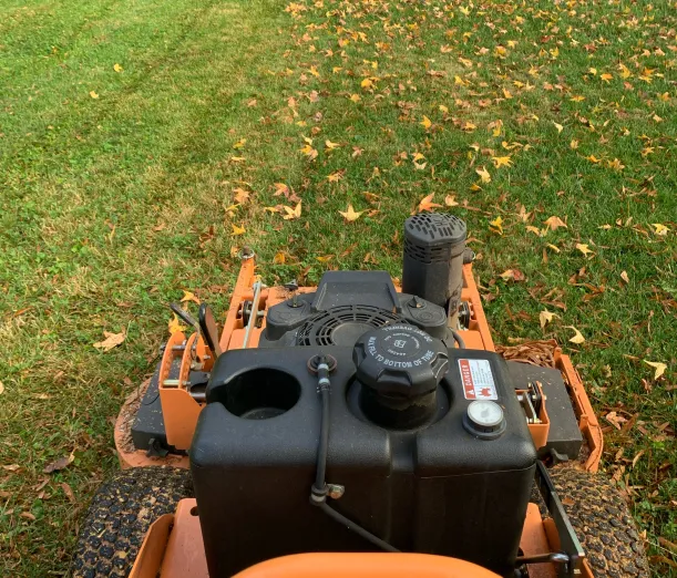 lawn turf care local winston salem nc