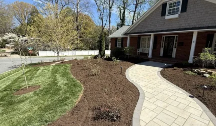 property clean up winston salem nc