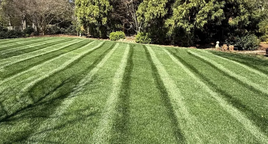 turf care service winston salem nc turf care service winston salem nc