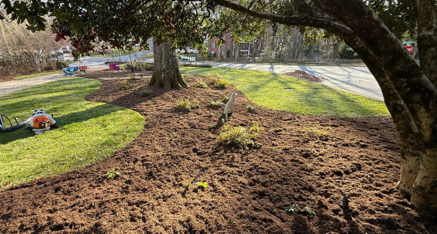 Landscape Enhancement Services in Winston Salem, NC Landscape Enhancement Services in Winston Salem, NC